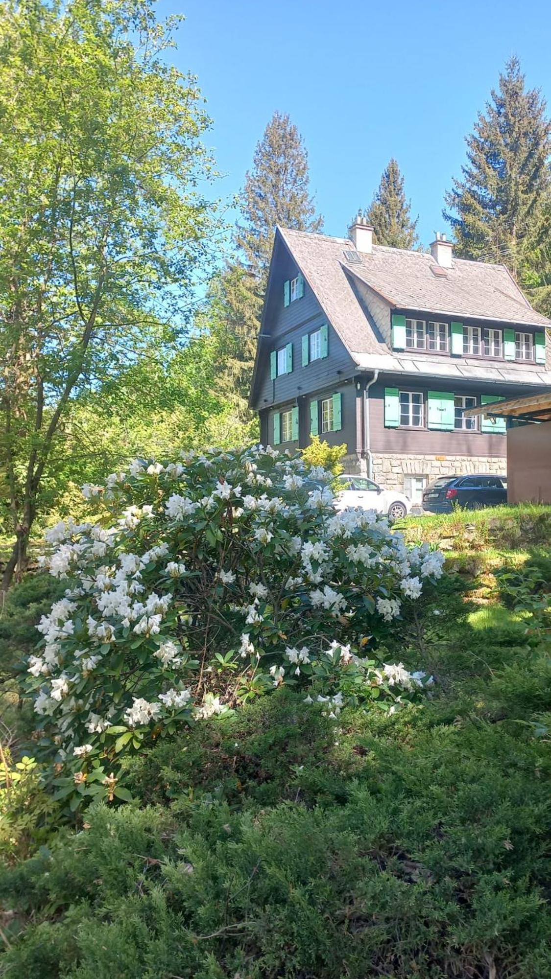 Rakouska Vila Bela pod Pradedem Zewnętrze zdjęcie